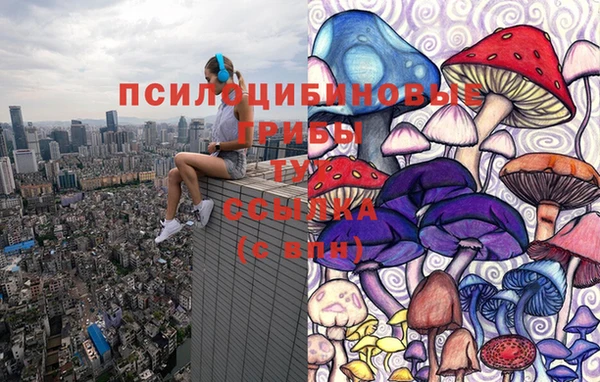 синтетический гашиш Абинск