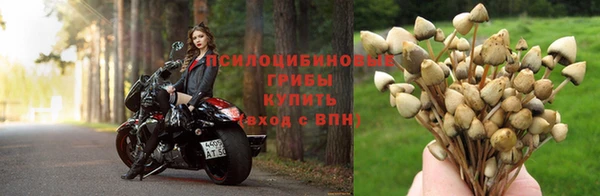 синтетический гашиш Абинск