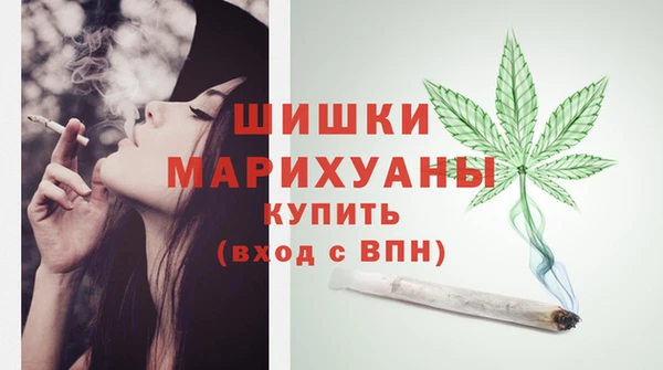 ГАЛЛЮЦИНОГЕННЫЕ ГРИБЫ Абаза