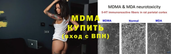 ГАЛЛЮЦИНОГЕННЫЕ ГРИБЫ Абаза