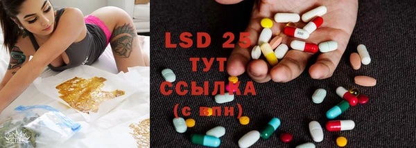 ГАЛЛЮЦИНОГЕННЫЕ ГРИБЫ Абаза