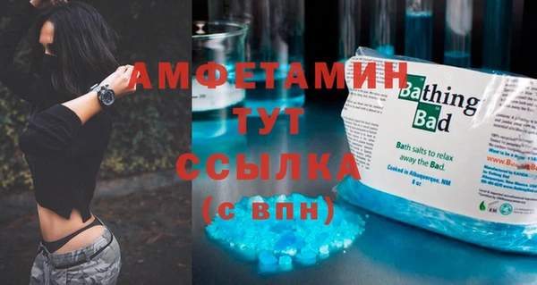 ГАЛЛЮЦИНОГЕННЫЕ ГРИБЫ Абаза