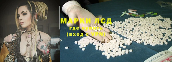 прущий лед Алзамай